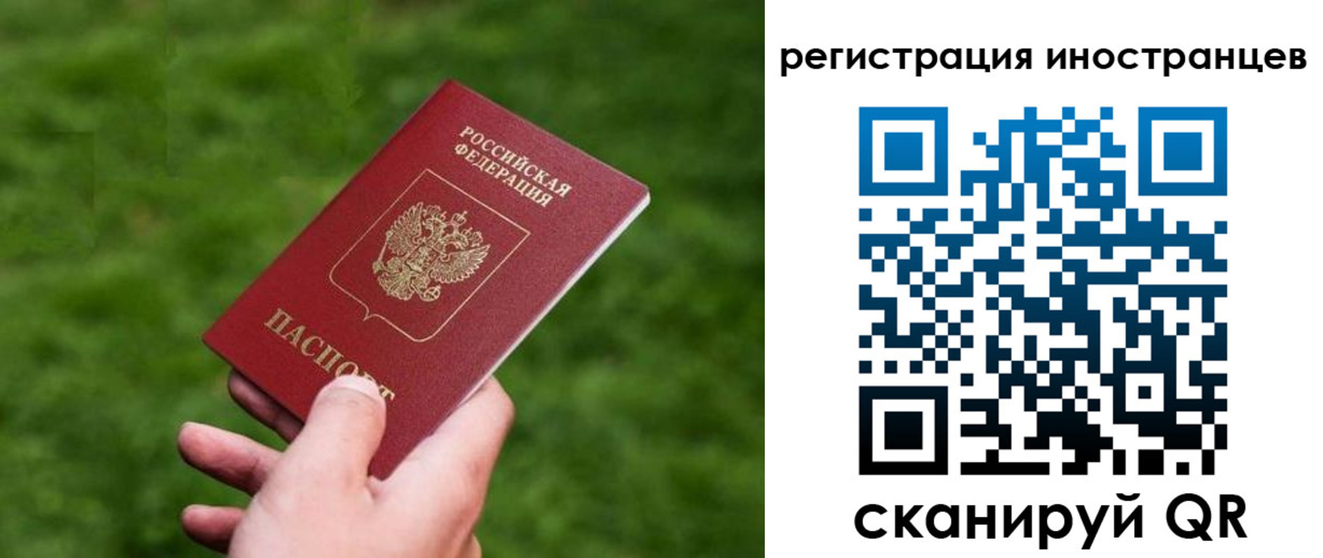 прописка ребенка в Заозёрске